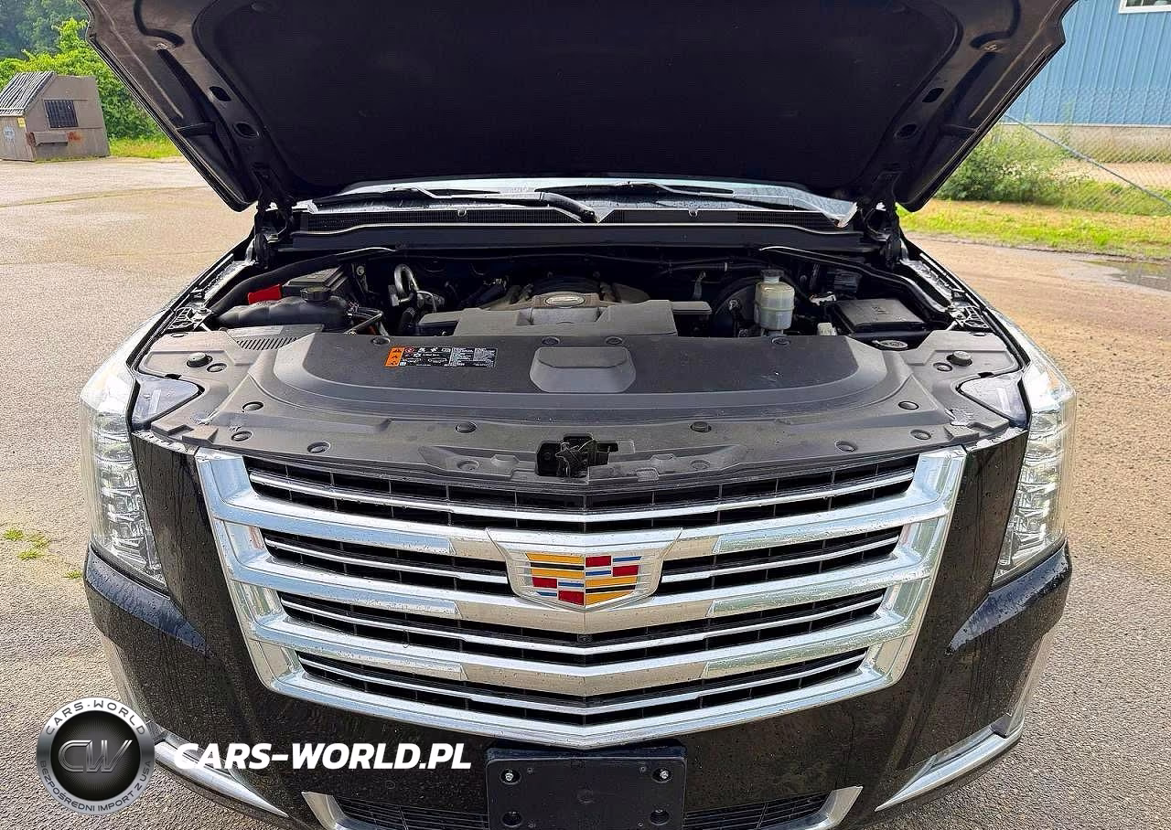 2020 Cadillac Escalade Esv Platinum VIN:1GYS4KKJ2LR110640 - 7