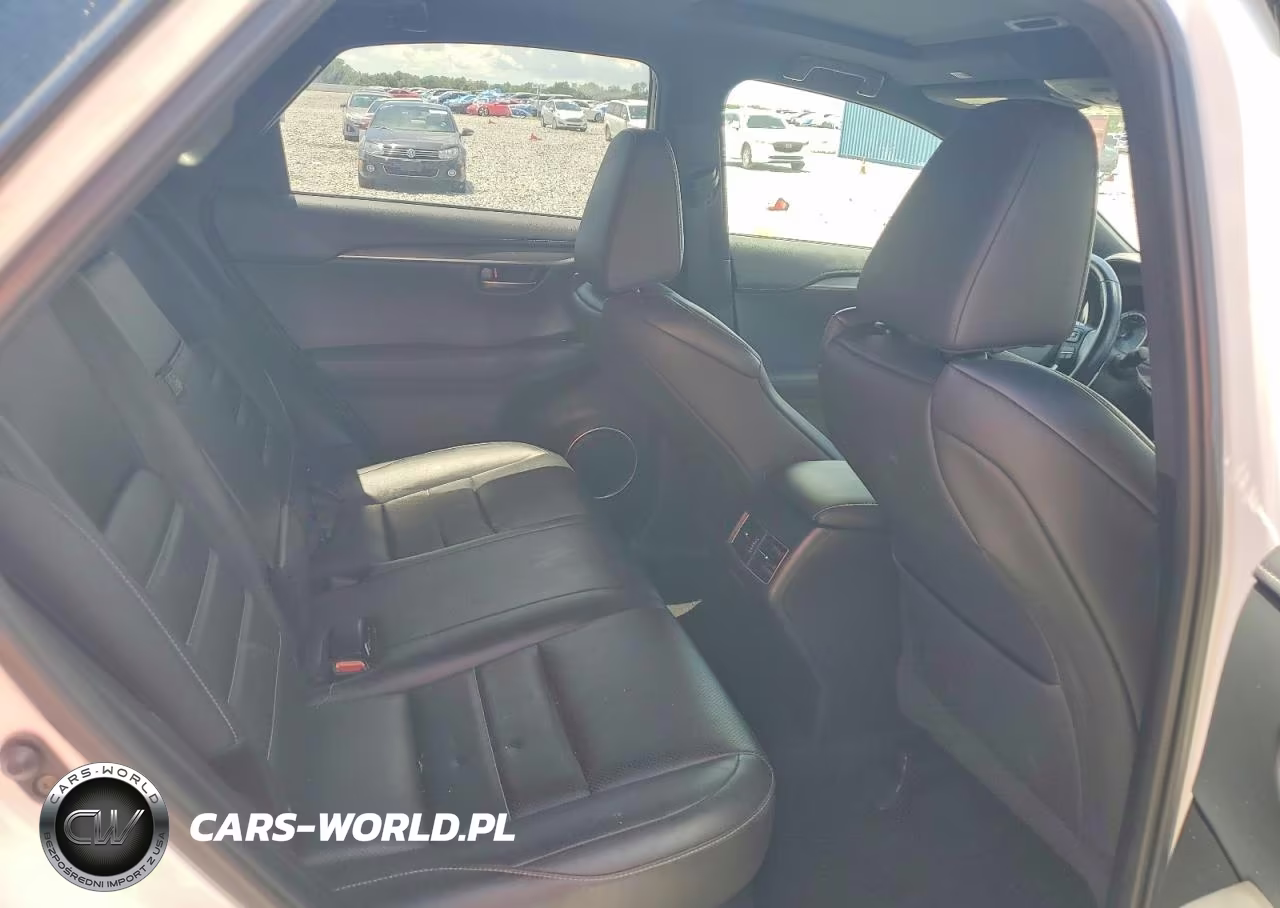 2018 Lexus Nx 300 F Sport VIN:JTJYARBZ6J2110425 - 10