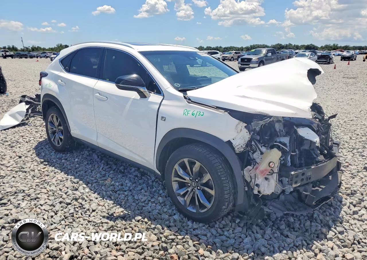 2018 Lexus Nx 300 F Sport VIN:JTJYARBZ6J2110425 - 4
