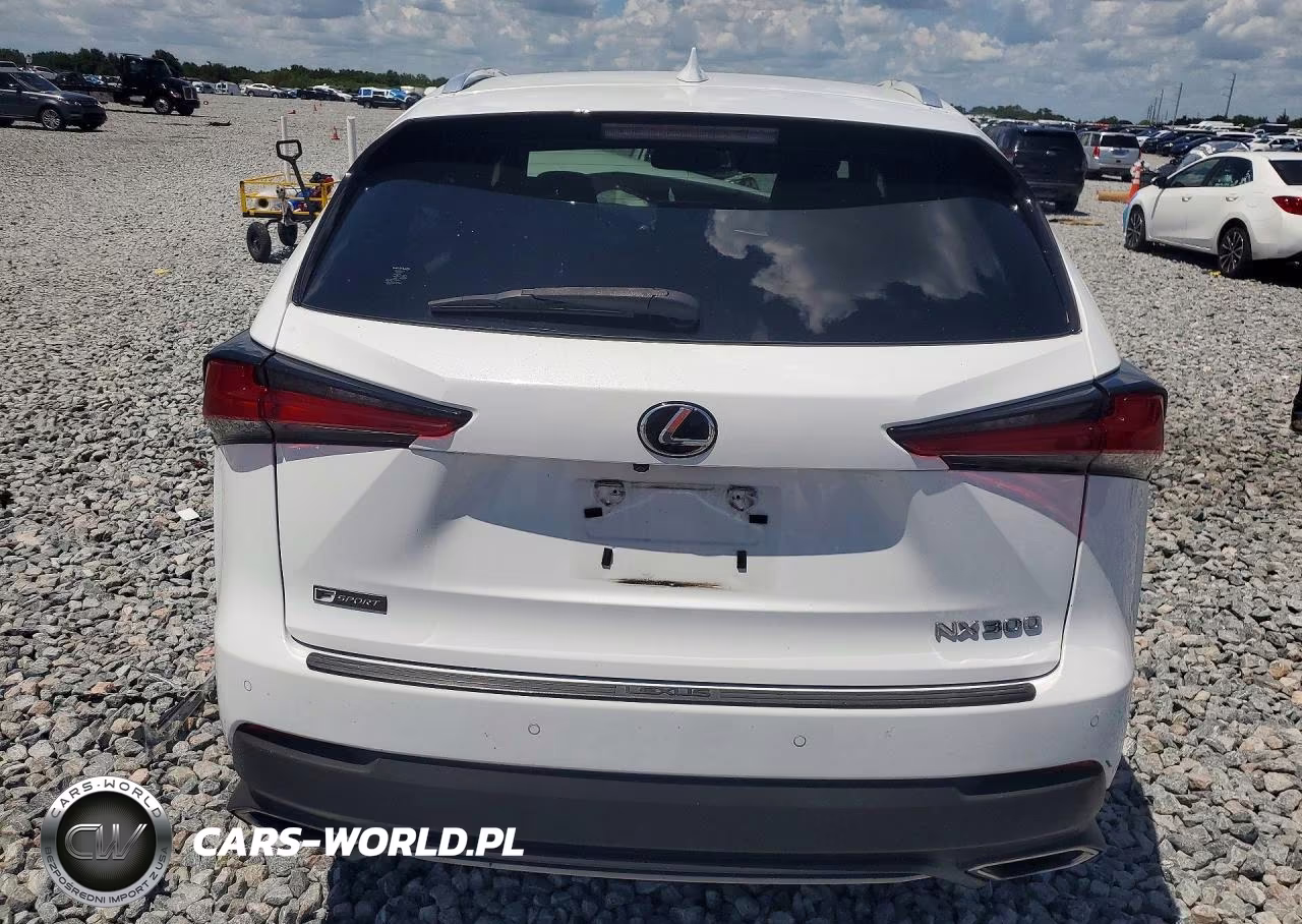 2018 Lexus Nx 300 F Sport VIN:JTJYARBZ6J2110425 - 6