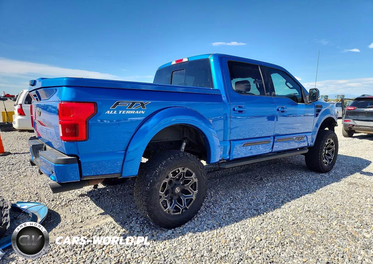 2020 Ford F150 Supercrew VIN:1FTEW1E5XLFB87831 - 3