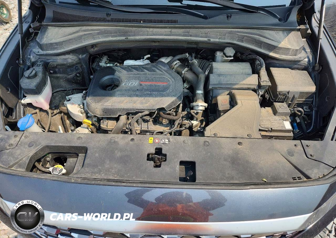 2020 Hyundai Santa Fe Sel 2.0T VIN:5NMS3CAA1LH300918 - 12