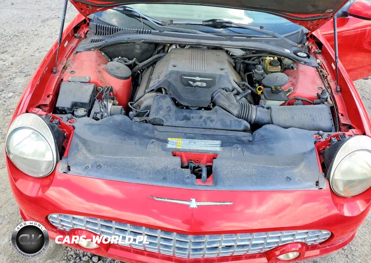 2004 Ford Thunderbird VIN:1FAHP60AX4Y110237 - 11
