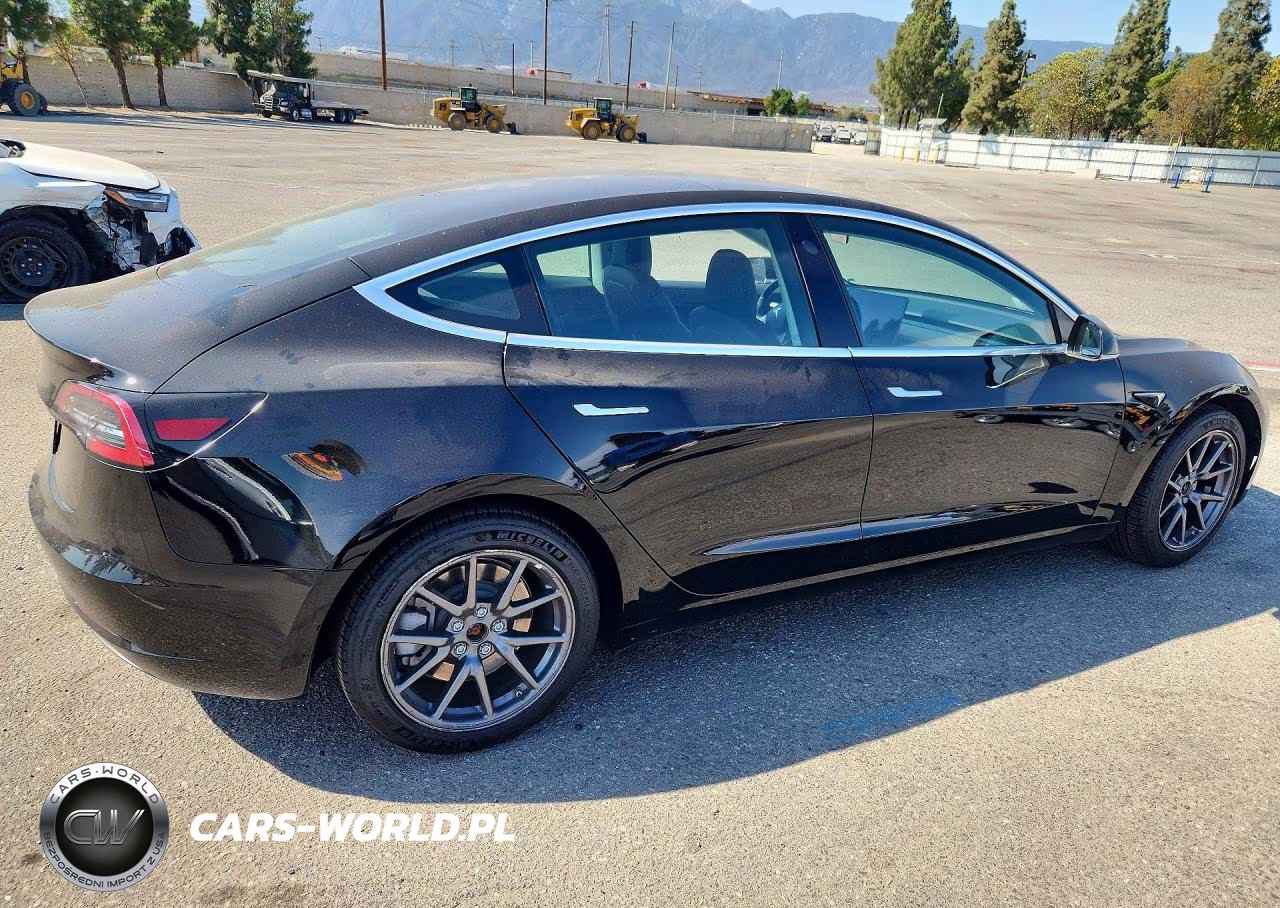2019 Tesla Model 3 VIN:5YJ3E1EA3KF399075 - 3