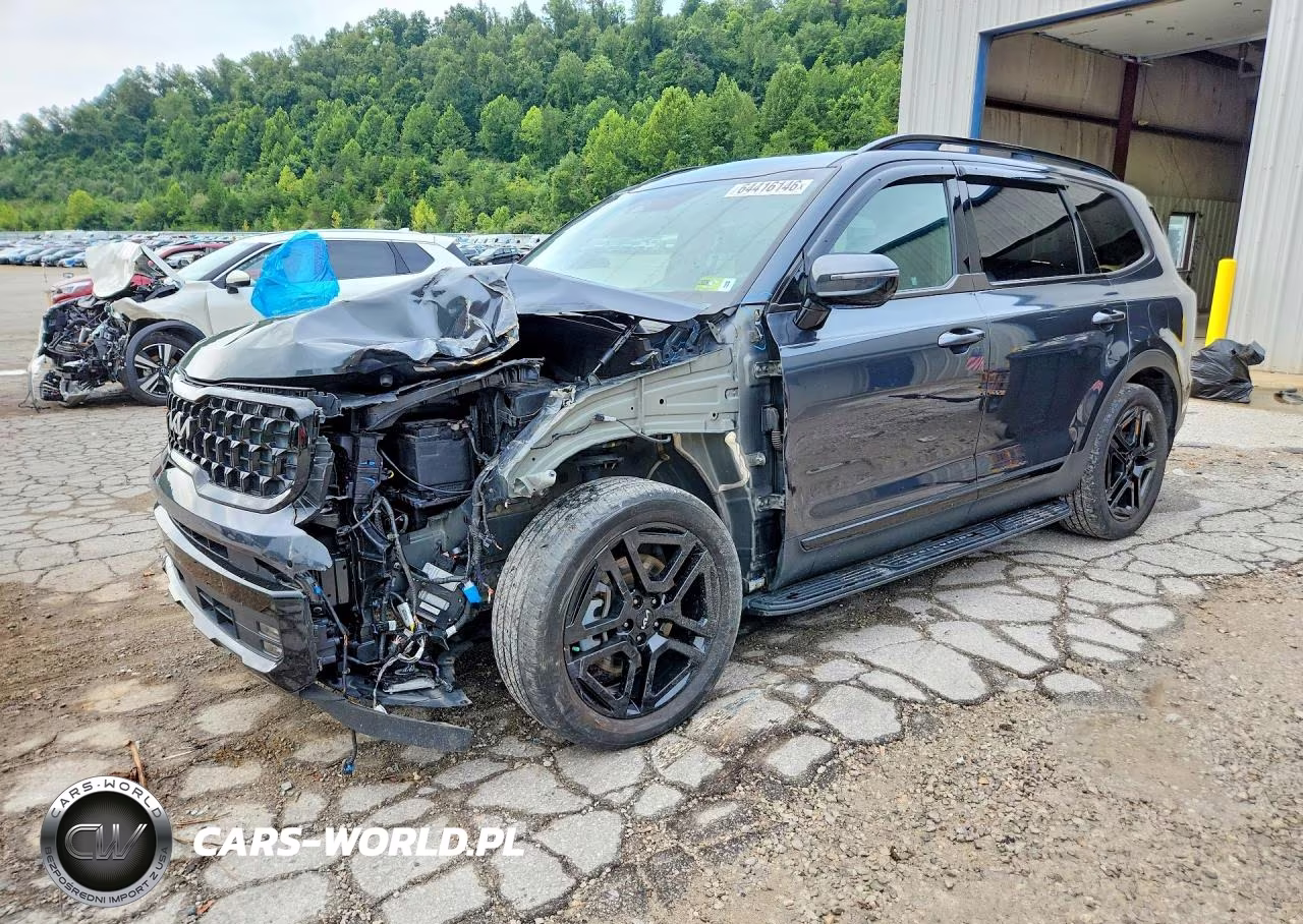 2024 Kia Telluride Sx-Prestige X-Line VIN:5XYP5DGC1RG455003 - 1
