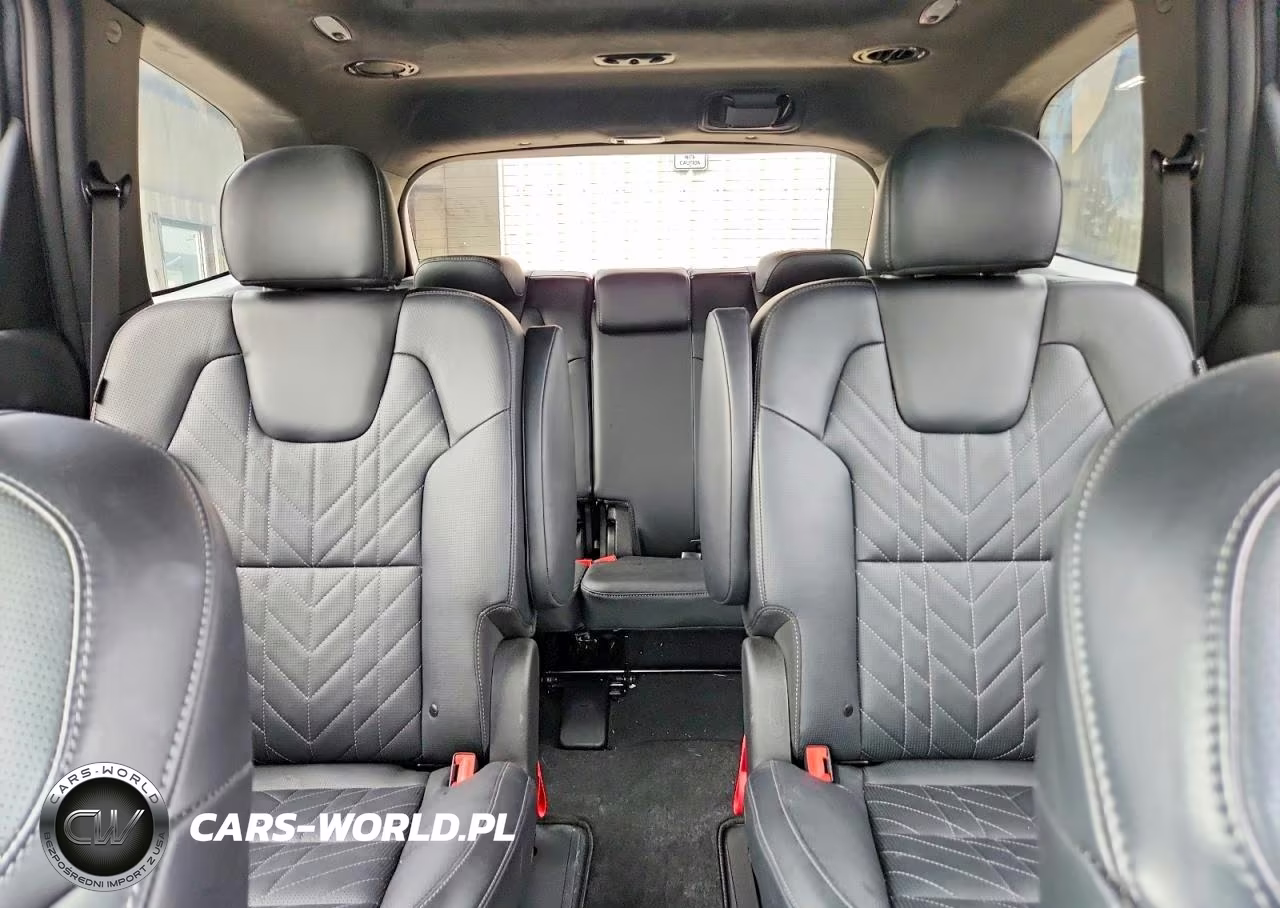 2024 Kia Telluride Sx-Prestige X-Line VIN:5XYP5DGC1RG455003 - 10