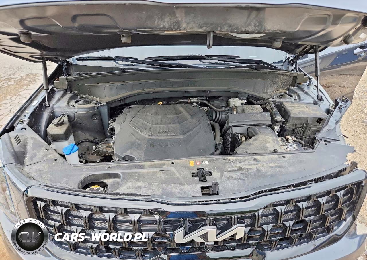 2024 Kia Telluride Sx-Prestige X-Line VIN:5XYP5DGC1RG455003 - 12
