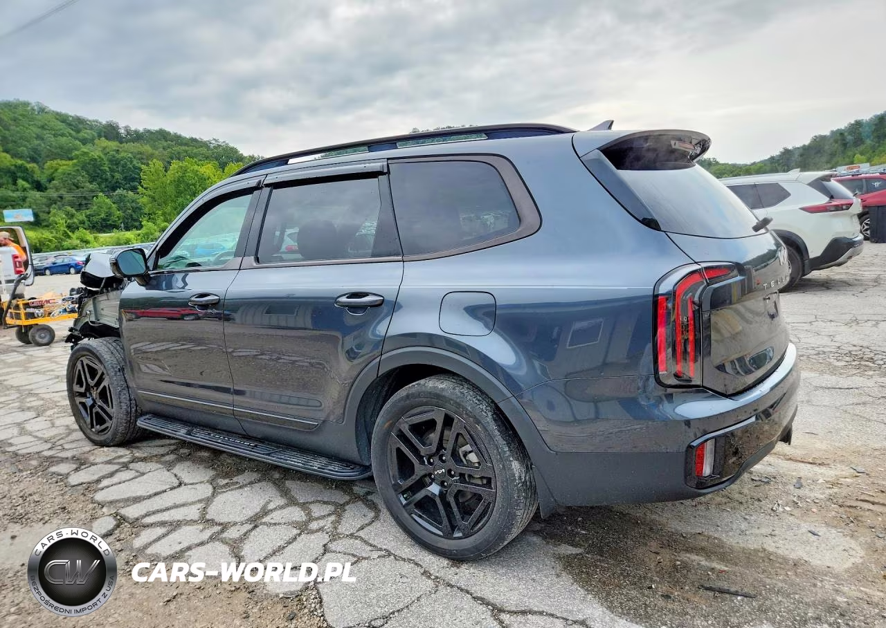 2024 Kia Telluride Sx-Prestige X-Line VIN:5XYP5DGC1RG455003 - 2