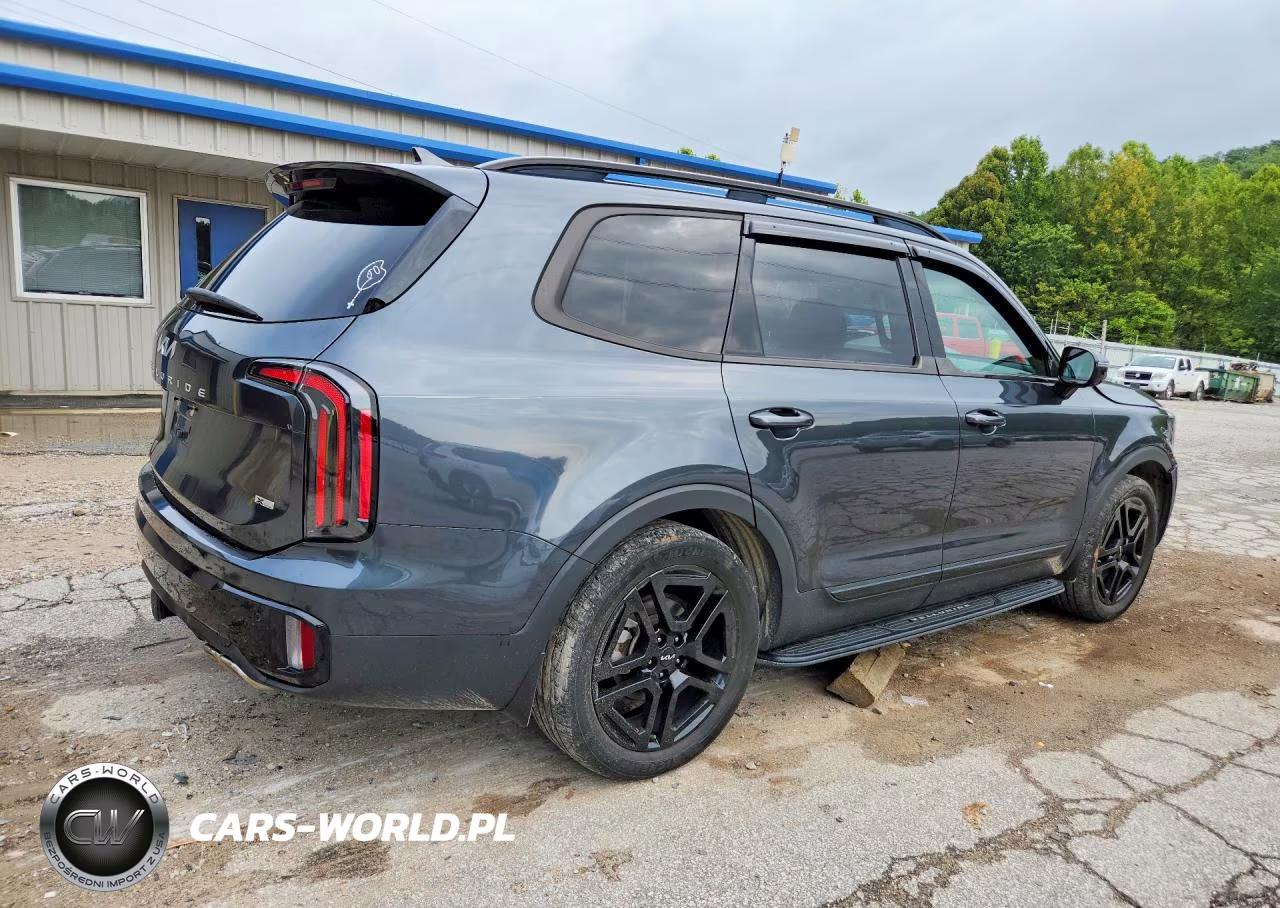 2024 Kia Telluride Sx-Prestige X-Line VIN:5XYP5DGC1RG455003 - 3