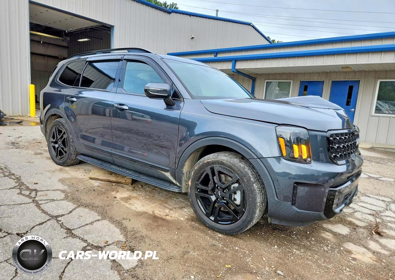 2024 Kia Telluride Sx-Prestige X-Line VIN:5XYP5DGC1RG455003 - 4