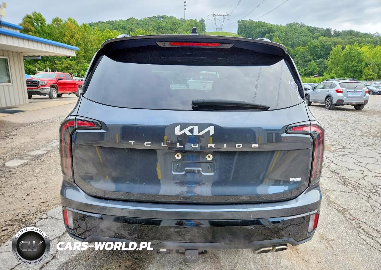 2024 Kia Telluride Sx-Prestige X-Line VIN:5XYP5DGC1RG455003 - 6