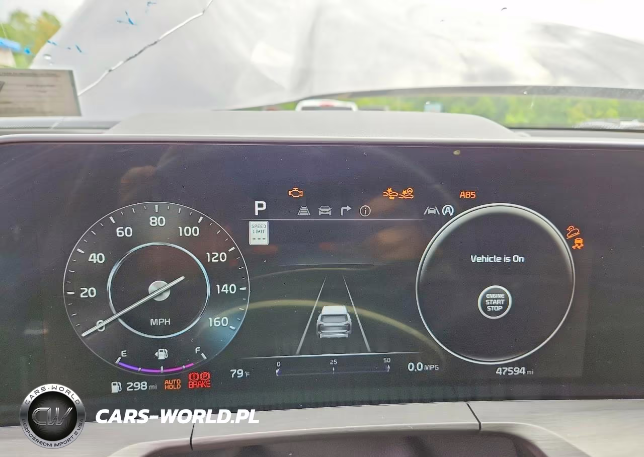 2024 Kia Telluride Sx-Prestige X-Line VIN:5XYP5DGC1RG455003 - 9