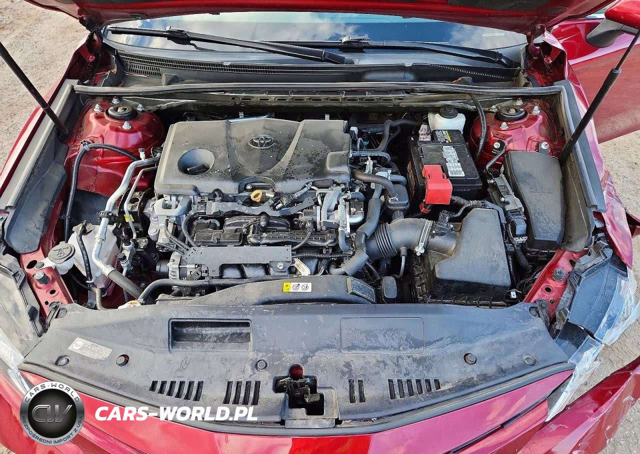 2019 Toyota Camry Le VIN:4T1B11HK7KU822870 - 11