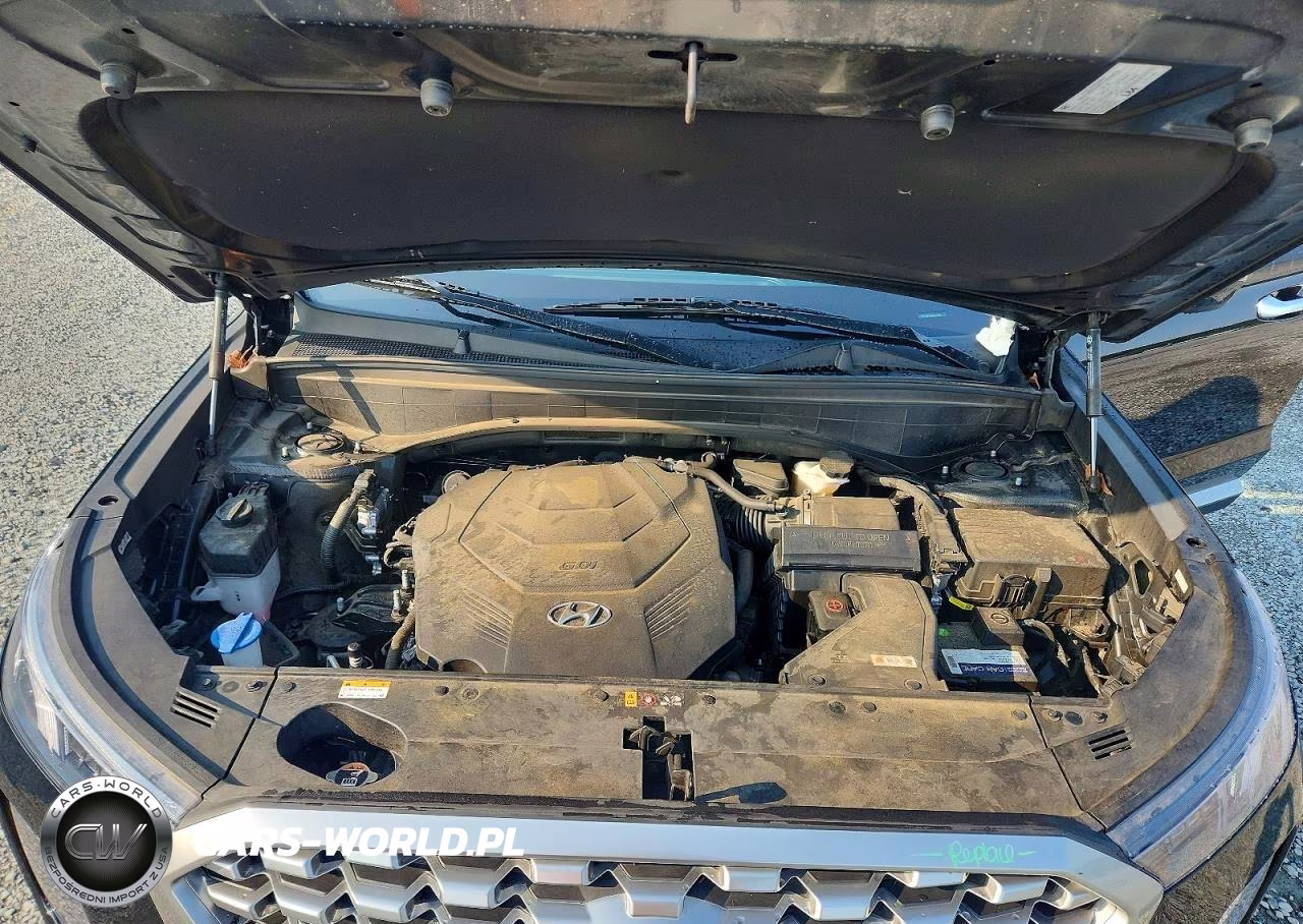 2021 Hyundai Palisade Sel VIN:KM8R44HE4MU313968 - 12