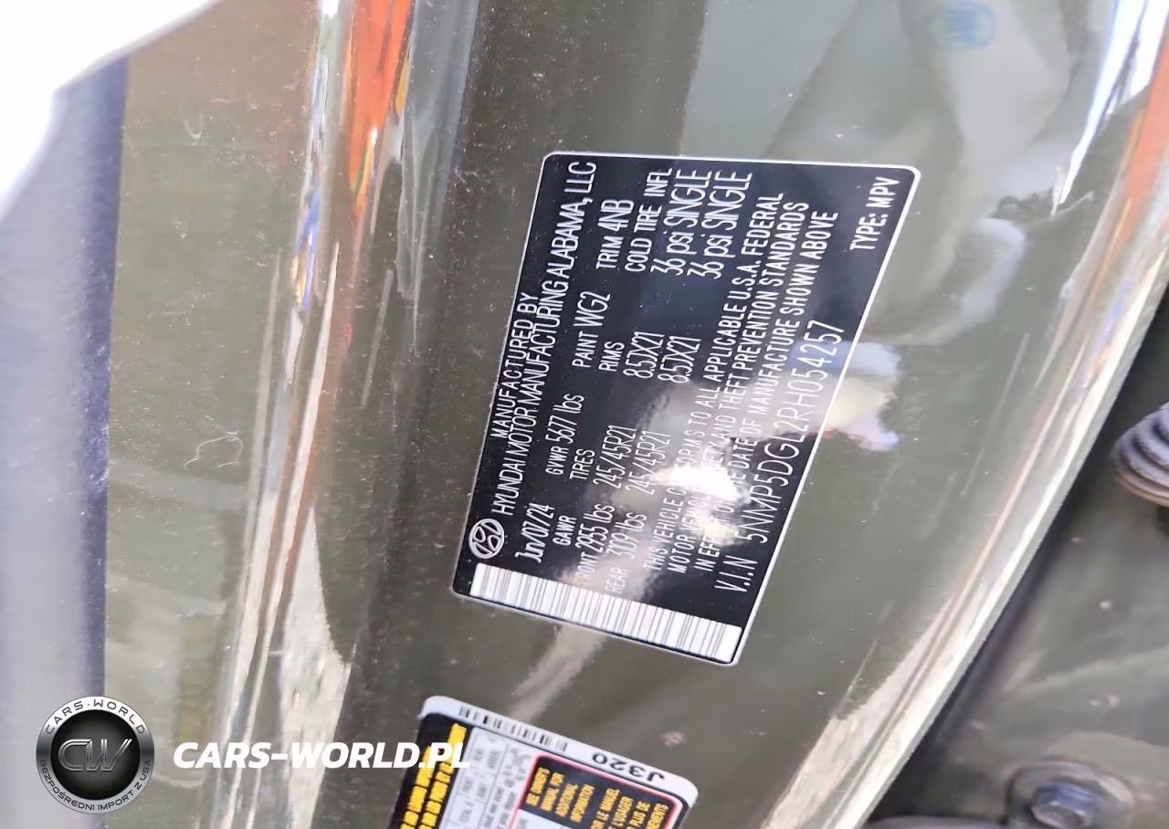 2024 Hyundai Santa Fe Calligraphy VIN:5NMP5DGL2RH054257 - 13