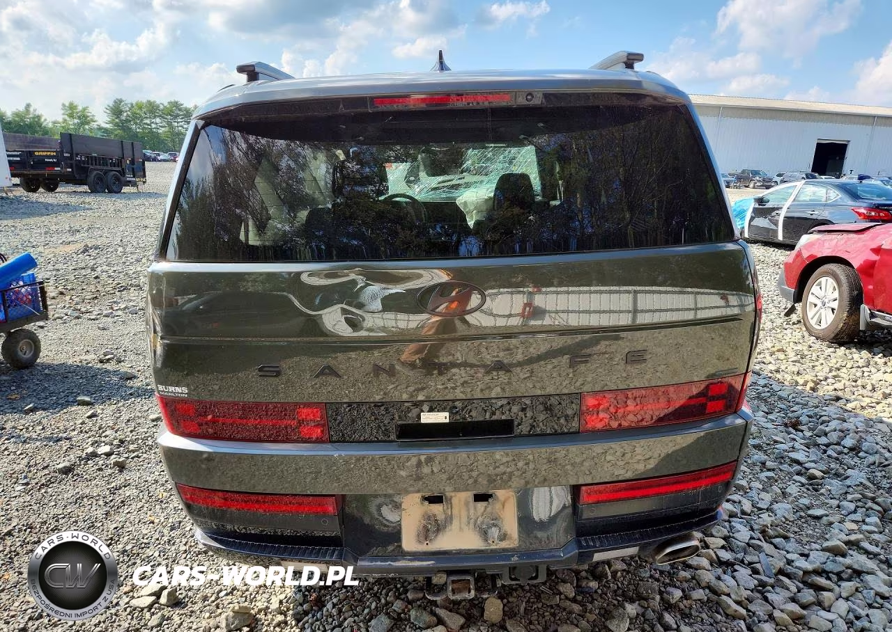 2024 Hyundai Santa Fe Calligraphy VIN:5NMP5DGL2RH054257 - 6