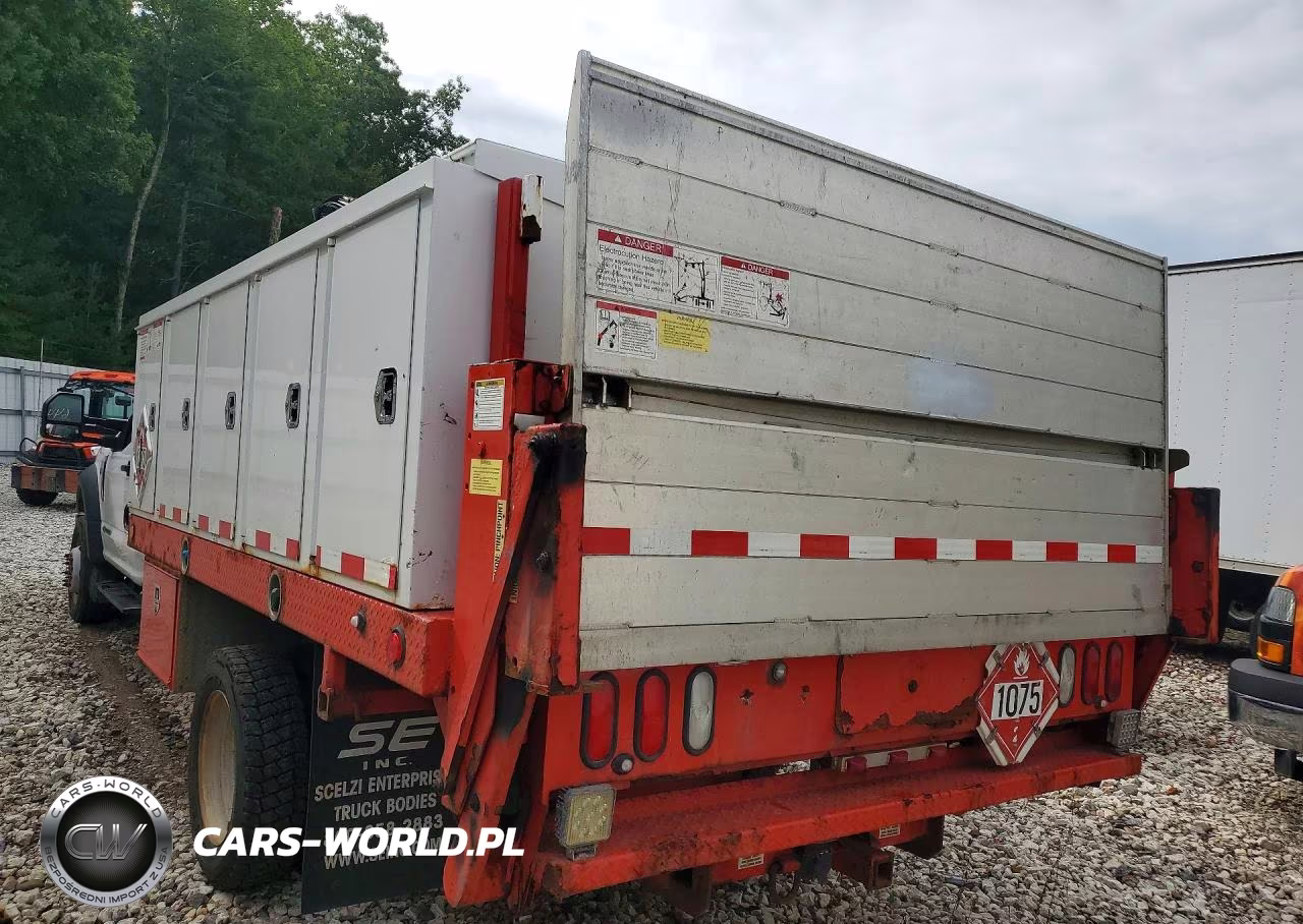 2020 Ford F550 Super Duty Crane Truck VIN:1FDUF5HT5LEE46174 - 2