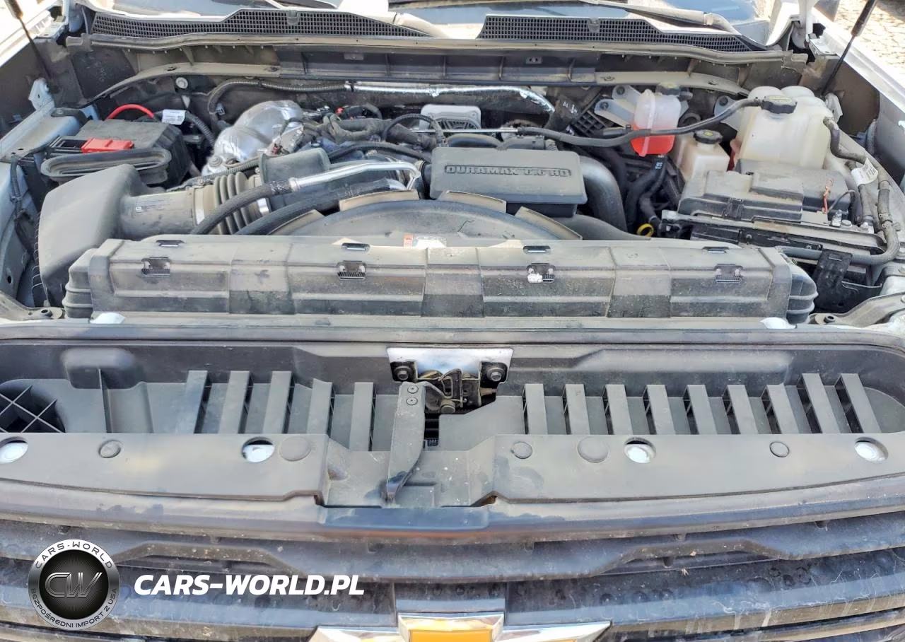2025 Chevrolet Silverado K2500 Heavy Duty VIN:1GB5KLEY6SF183022 - 11
