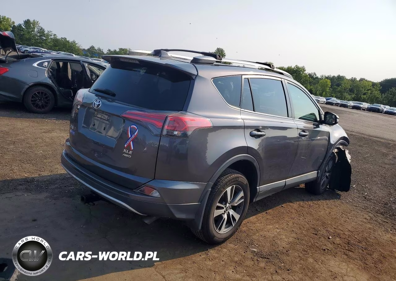 2017 Toyota Rav4 Xle VIN:JTMRFREV3HJ125093 - 3