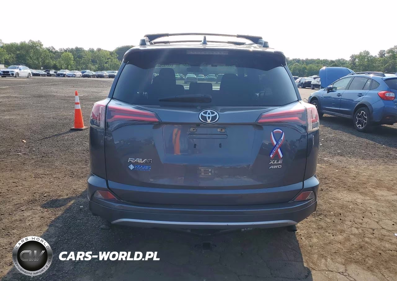 2017 Toyota Rav4 Xle VIN:JTMRFREV3HJ125093 - 6