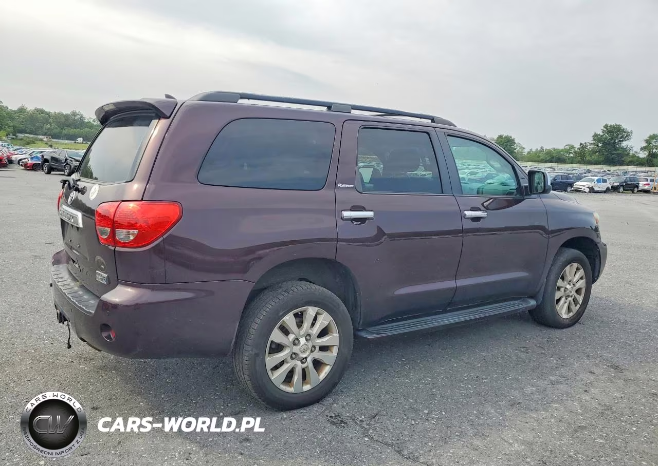 2016 Toyota Sequoia Platinum VIN:5TDDY5G14GS134801 - 3