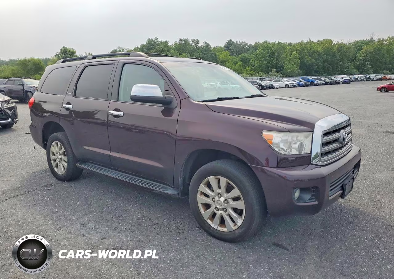 2016 Toyota Sequoia Platinum VIN:5TDDY5G14GS134801 - 4