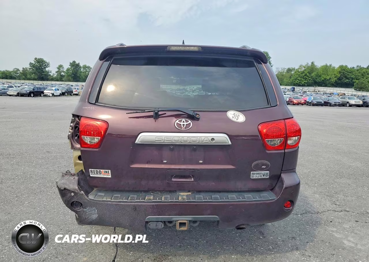 2016 Toyota Sequoia Platinum VIN:5TDDY5G14GS134801 - 6