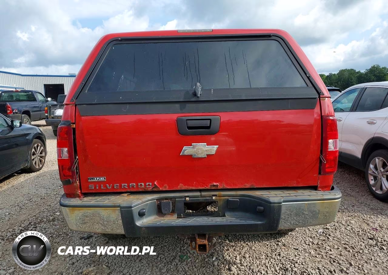 2009 Chevrolet Silverado K1500 VIN:1GCEK14089Z186993 - 6