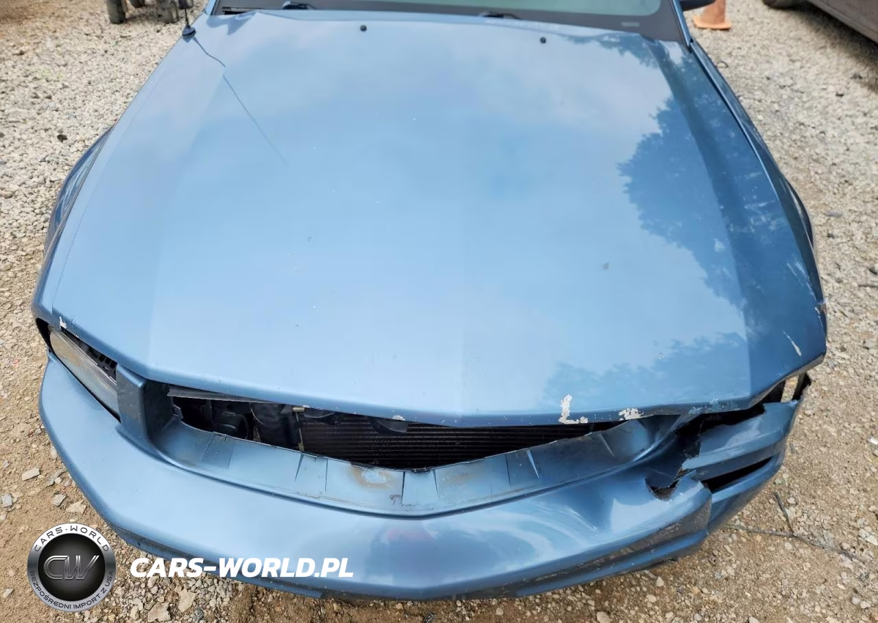 2006 Ford Mustang VIN:1ZVHT80NX65191570 - 11