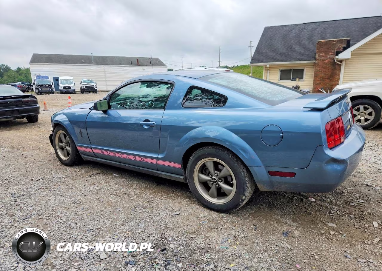 2006 Ford Mustang VIN:1ZVHT80NX65191570 - 2