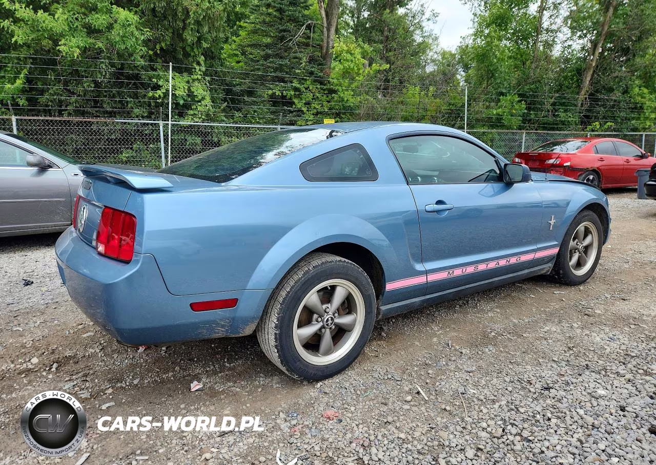 2006 Ford Mustang VIN:1ZVHT80NX65191570 - 3
