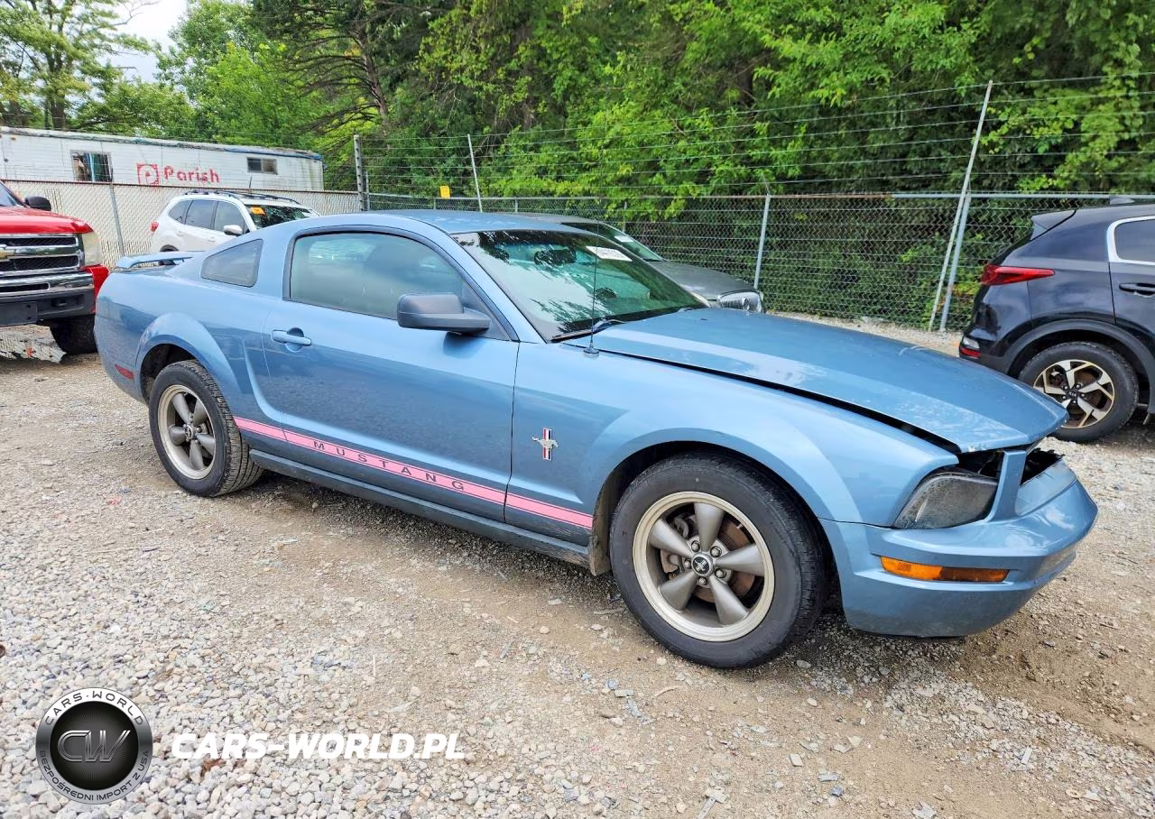 2006 Ford Mustang VIN:1ZVHT80NX65191570 - 4