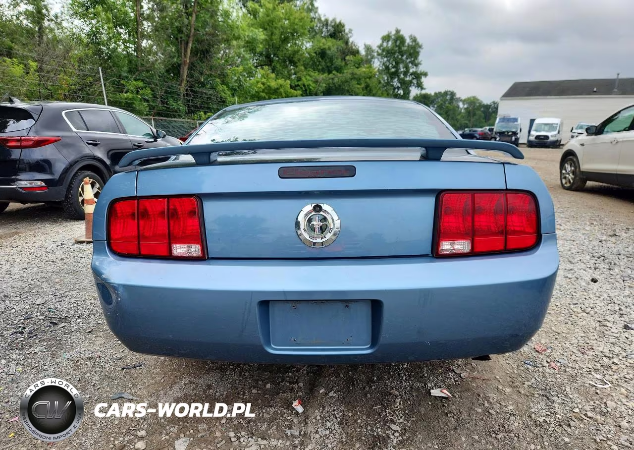 2006 Ford Mustang VIN:1ZVHT80NX65191570 - 6