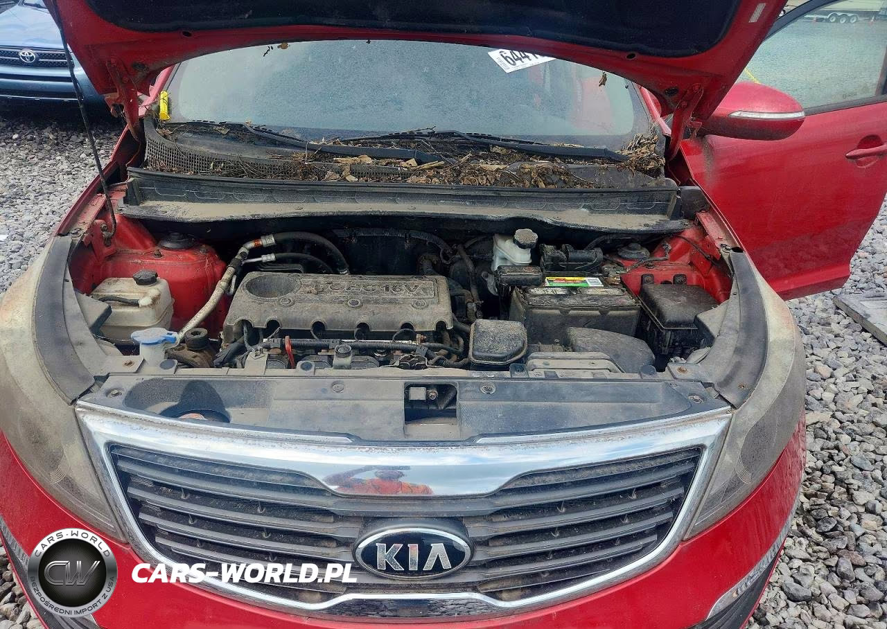 2013 Kia Sportage Lx VIN:KNDPBCA26D7536569 - 11
