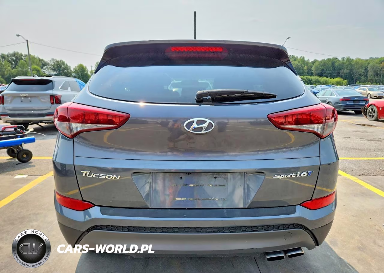 2016 Hyundai Tucson Sport VIN:KM8J33A27GU124780 - 6