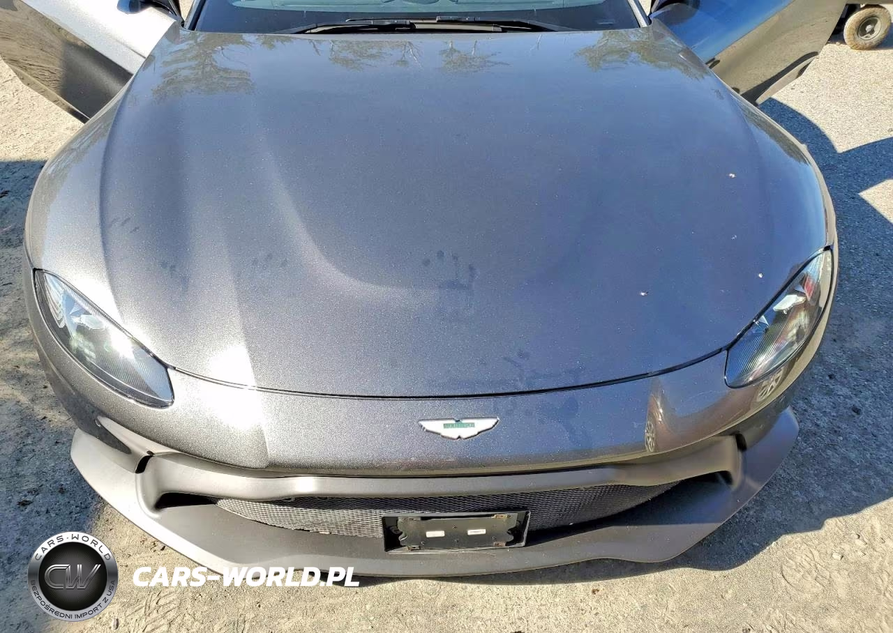 2020 Aston Martin Vantage VIN:SCFSMGAW3LGN04886 - 11