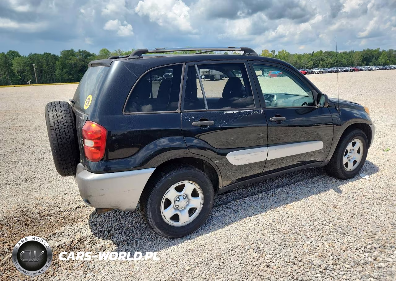 2004 Toyota Rav4 Base VIN:JTEGD20V740019902 - 3