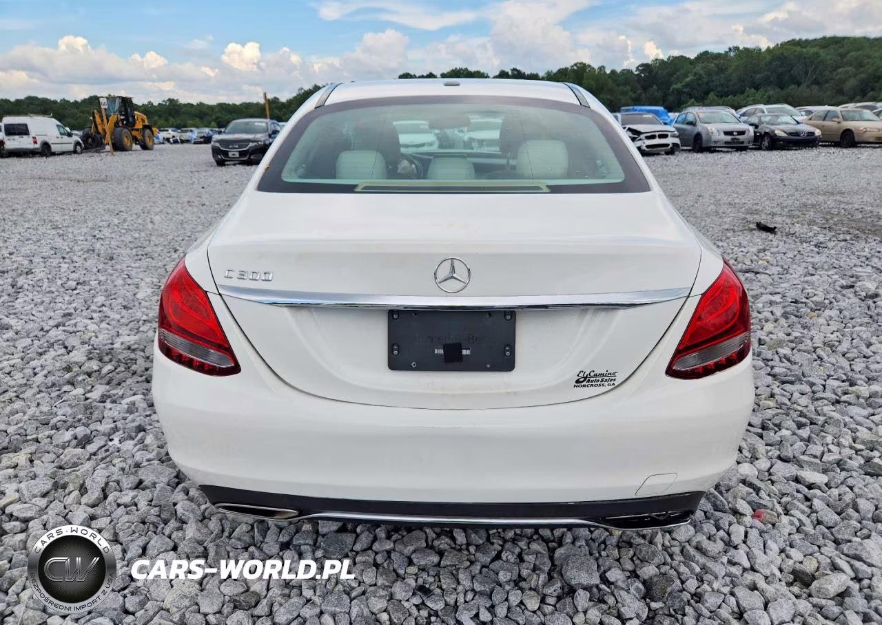 2016 Mercedes-Benz C 300 VIN:55SWF4JB6GU131380 - 6
