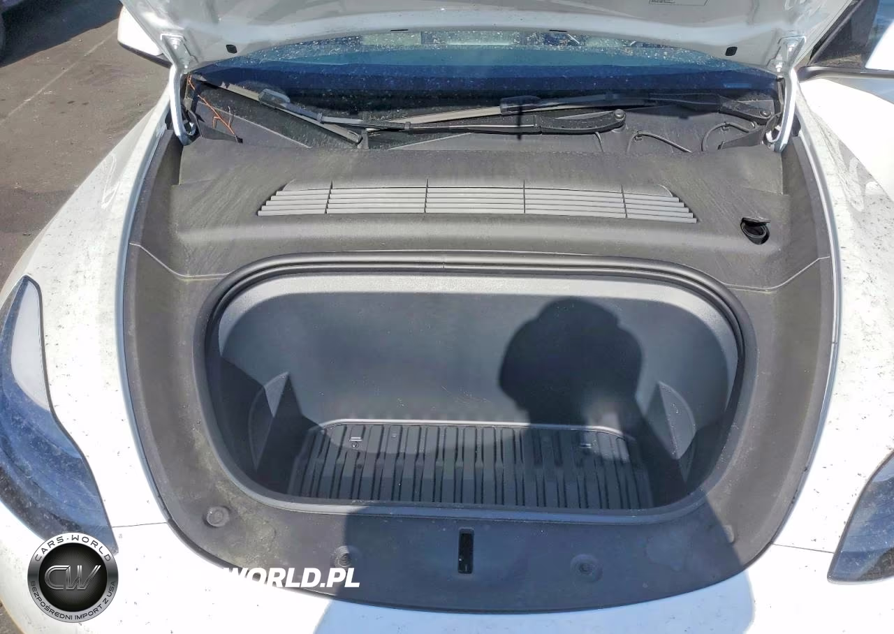 2024 Tesla Model Y VIN:7SAYGAEEXRF088212 - 11