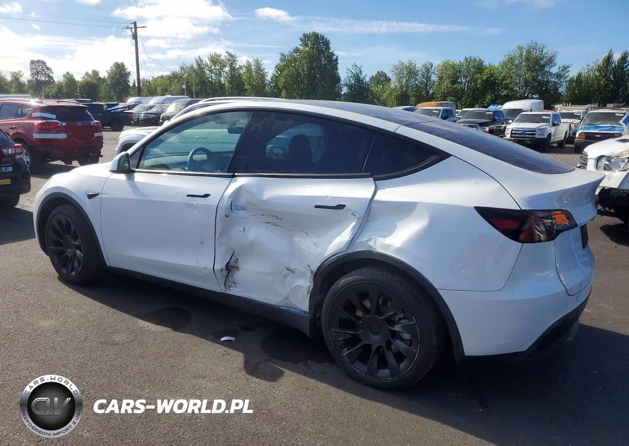 2024 Tesla Model Y VIN:7SAYGAEEXRF088212 - 2