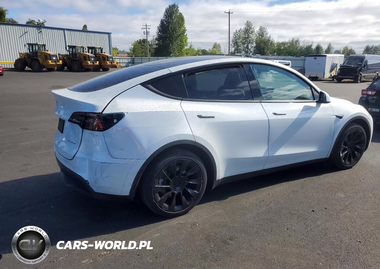 2024 Tesla Model Y VIN:7SAYGAEEXRF088212 - 3