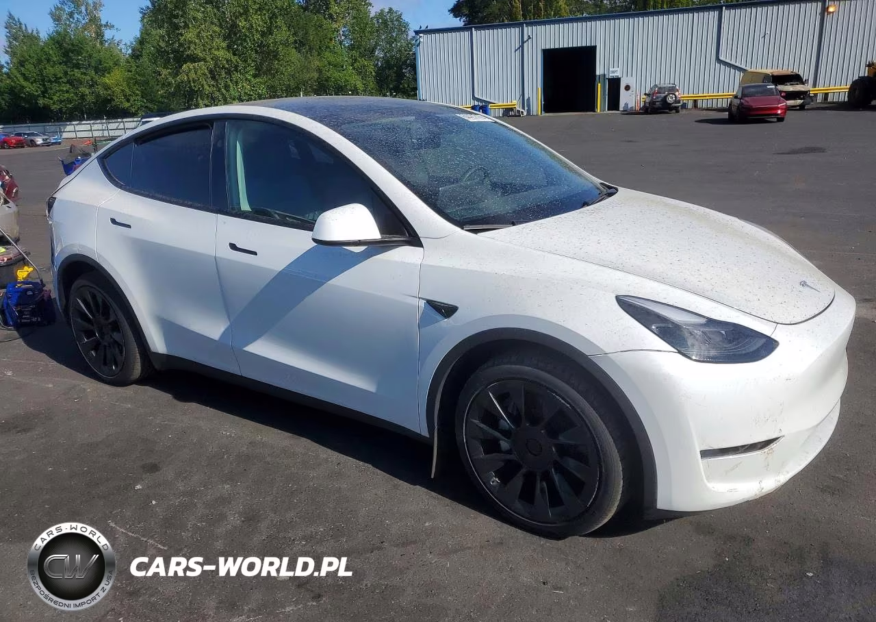 2024 Tesla Model Y VIN:7SAYGAEEXRF088212 - 4