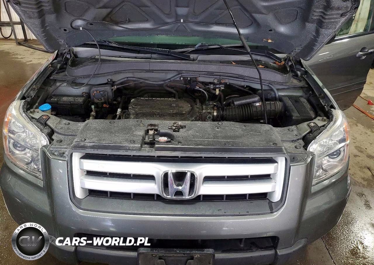 2007 Honda Pilot Lx VIN:5FNYF18197B019940 - 11