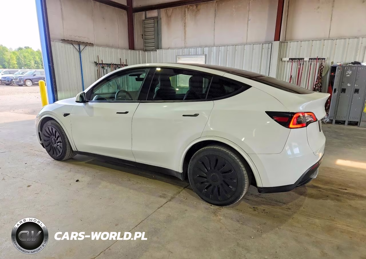 2023 TESLA MODEL Y VIN:7SAYGDEE1PF611177 - 2