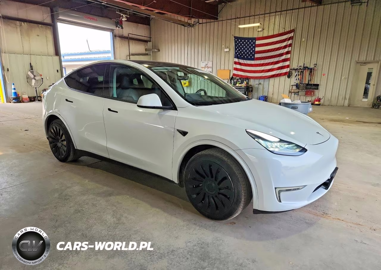 2023 TESLA MODEL Y VIN:7SAYGDEE1PF611177 - 4