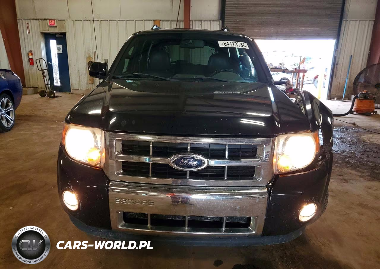 2009 Ford Escape Limited VIN:1FMCU04G69KC48209 - 5