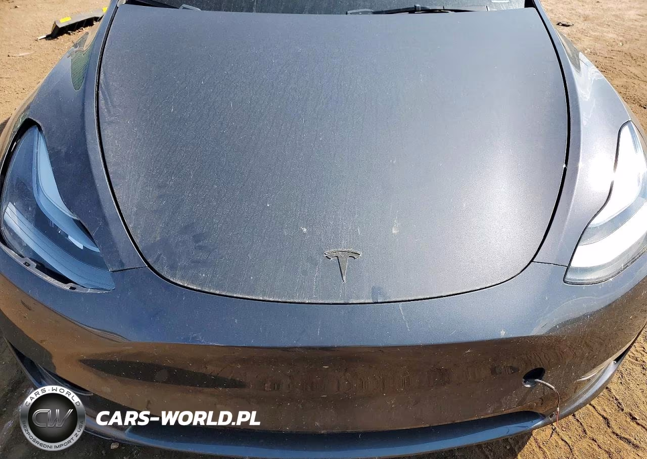 2024 Tesla Model Y VIN:7SAYGDEF8RF050004 - 11