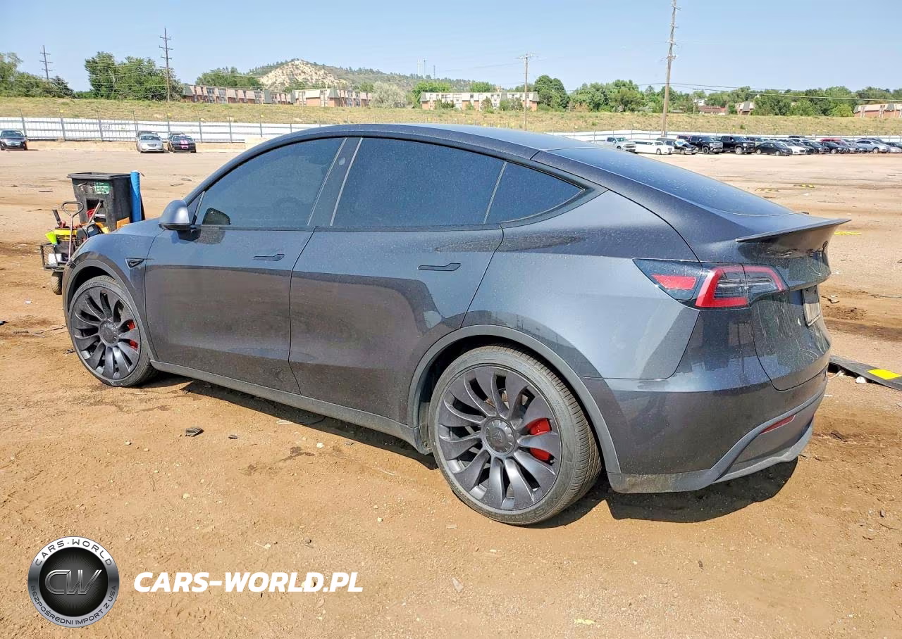 2024 Tesla Model Y VIN:7SAYGDEF8RF050004 - 2