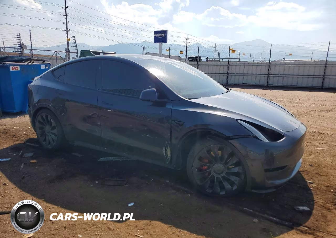 2024 Tesla Model Y VIN:7SAYGDEF8RF050004 - 4