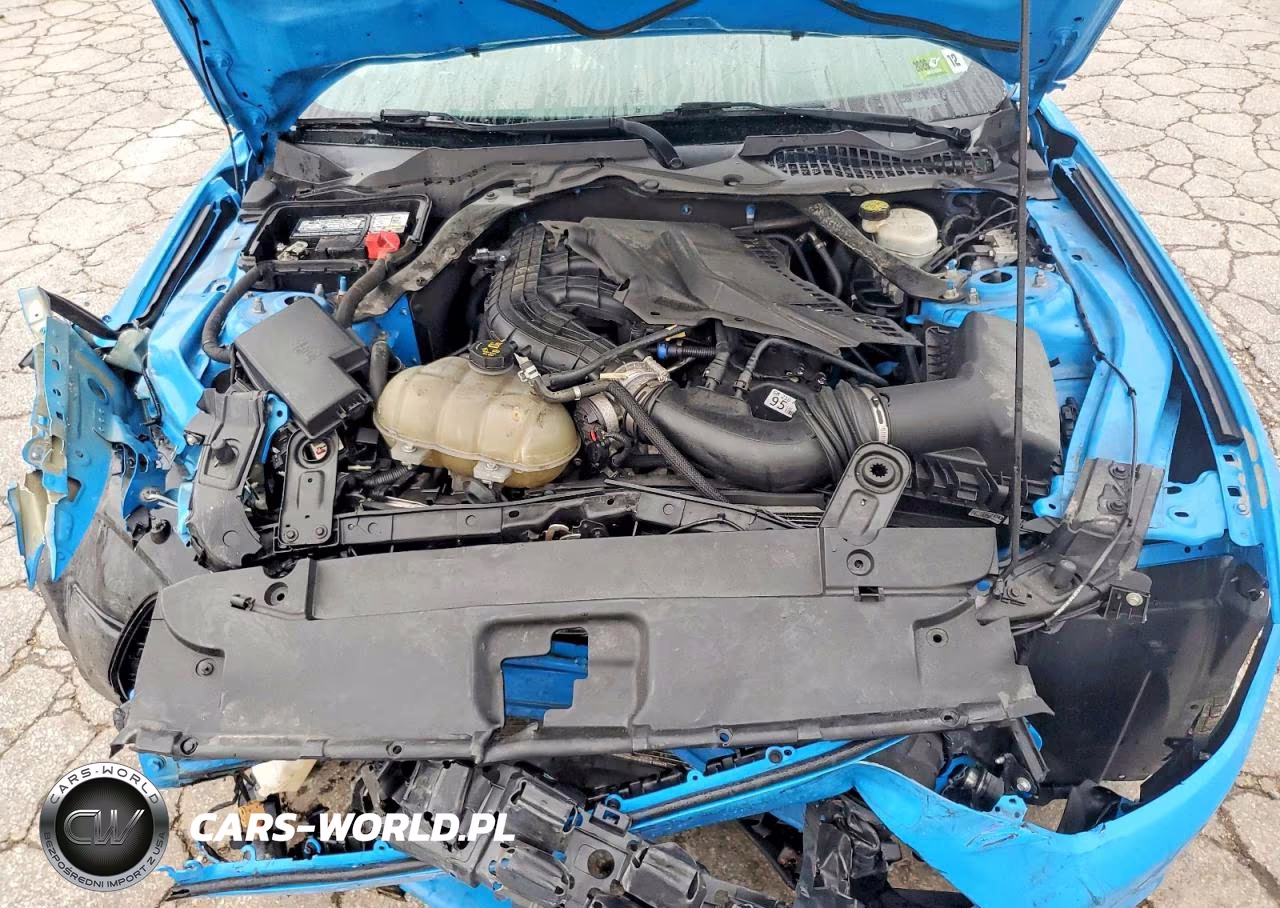 2017 Ford Mustang VIN:1FATP8EM8H5224821 - 11